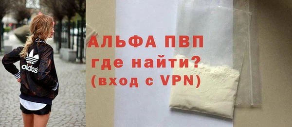 МДПВ Каменка