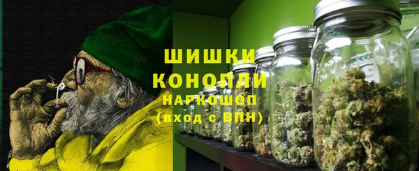 2c-b Каменногорск