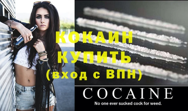 МДПВ Каменка