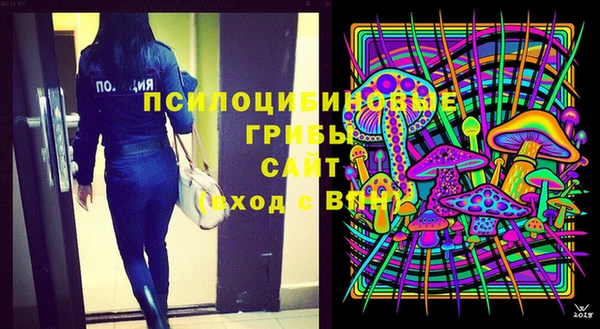 МДПВ Каменка